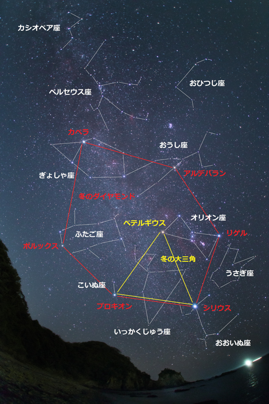 冬の満天星[図解]B.jpg