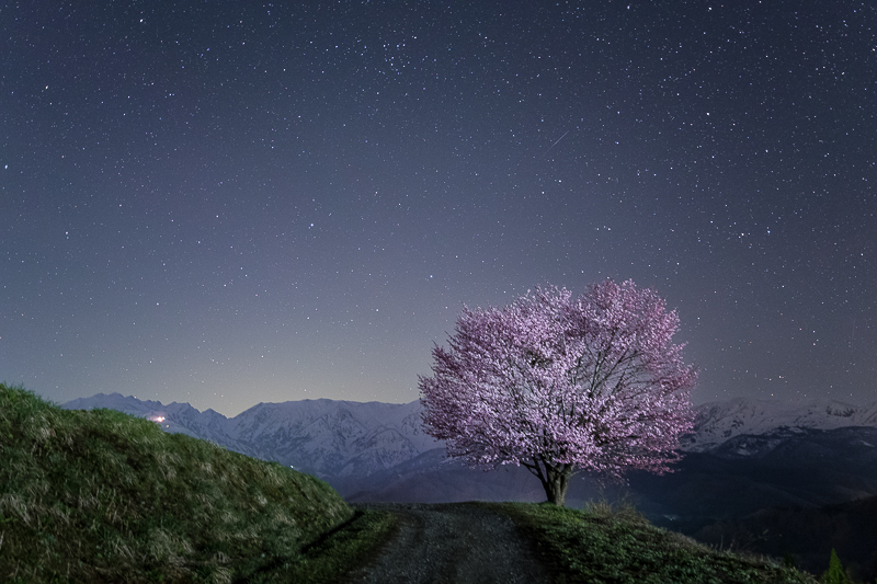 北アルプスと桜の星景写真2B.jpg