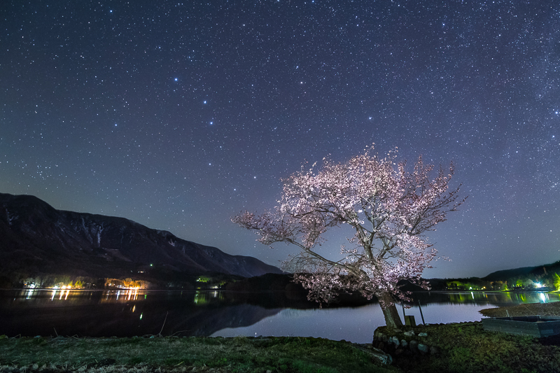 桜星景～青木湖の桜2B.jpg