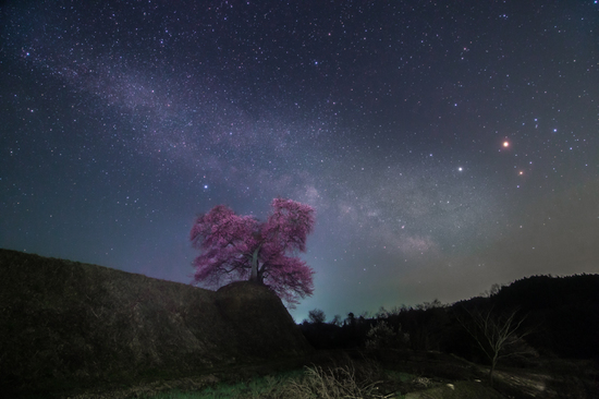 平堂壇の桜と天の川B.jpg